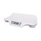 Alecto Babyweegschaal huren